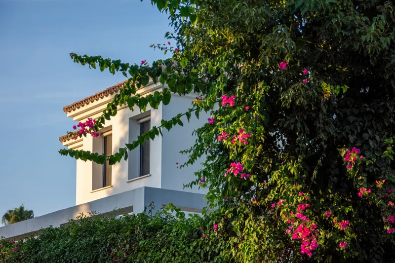 Casco antiguo de Marbella: paseo por la Plaza de los Naranjos