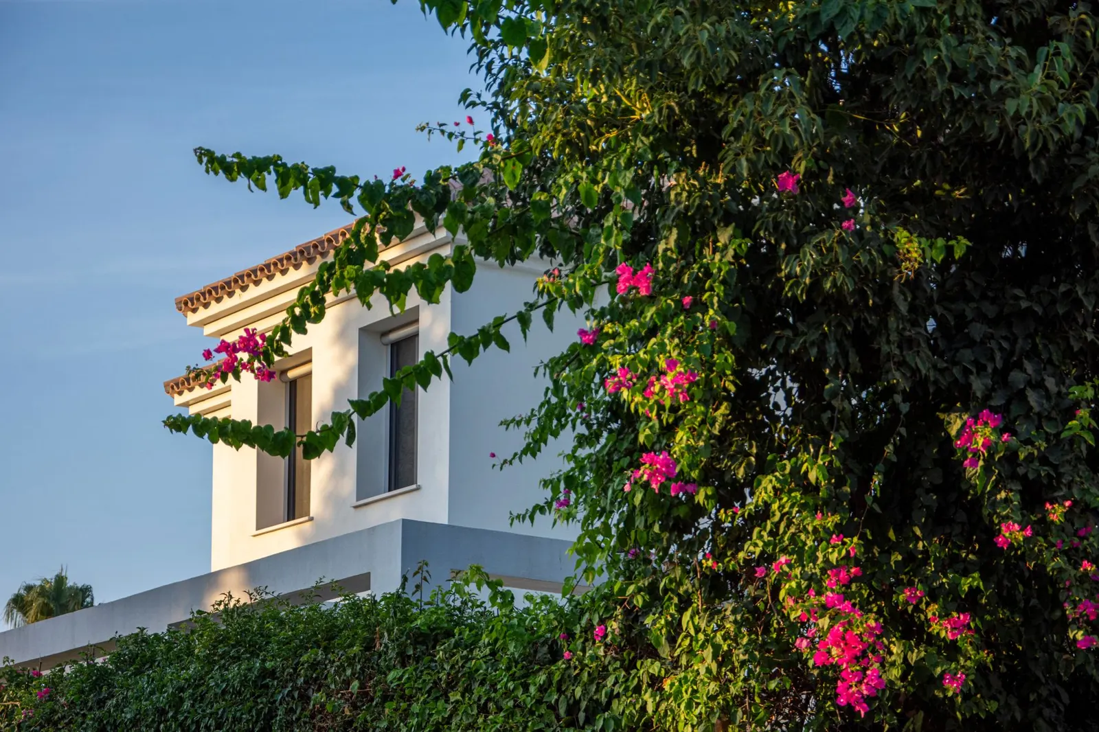 Casco antiguo de Marbella: paseo por la Plaza de los Naranjos