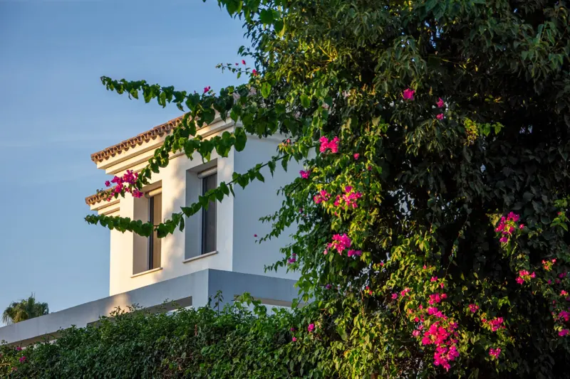 Marbella old town